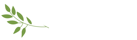 Warwick Park Dental Practice