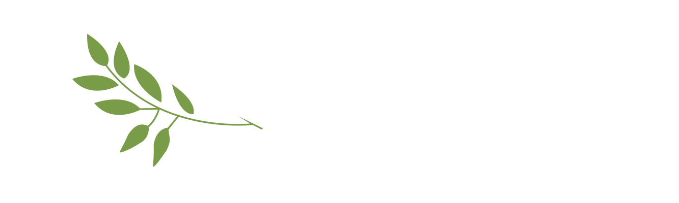 Warwick Park Dental Practice